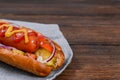 Grilled hot dogs with mustard, ketchup Royalty Free Stock Photo