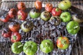 Grilled hot peppers and tomatoes Royalty Free Stock Photo