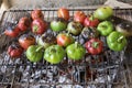 Grilled hot peppers and tomatoes Royalty Free Stock Photo