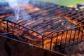 Grilled juicy pork steaks on the grill