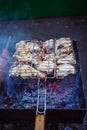 Grilled kebab cooking on metal skewers grill. Royalty Free Stock Photo