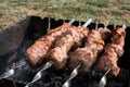 Grilled kebab cooking on metal skewer. Roasted meat cooked at barbecue. BBQ fresh beef meat chop slices. Traditional eastern dish Royalty Free Stock Photo