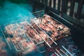 Grilled kebab cooking on metal skewers grill. Royalty Free Stock Photo