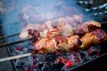 Grilled kebab cooking on metal skewers grill. Royalty Free Stock Photo