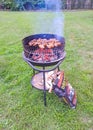 Grilled kebab cooking. Roasted meat cooked at barbecue Royalty Free Stock Photo