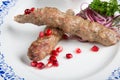 Grilled kebab meat Royalty Free Stock Photo