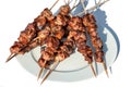 Grilled kebab shashlik on spits