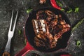 Grilled lamb or beef ribs Royalty Free Stock Photo