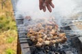 Grilled lamb kebabs closeup Royalty Free Stock Photo