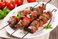 grilled lamb kebabs on a wooden skewer over a white plate