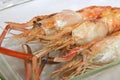 Grilled langoustine prawns