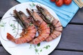 Grilled large shrimp