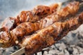 Grilled liver kebab