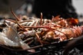 Grilled Lobster - photo made in Bengo, Angola