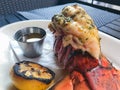 Grilled lobster tail. Royalty Free Stock Photo