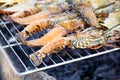 Grilled lobsters Royalty Free Stock Photo