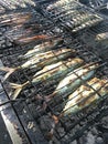 Grilled Mackeral