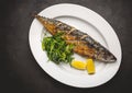 Grilled mackerel fillets with lemon on black board Royalty Free Stock Photo