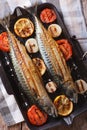 Grilled mackerel fish and vegetables closeup. vertical top view Royalty Free Stock Photo