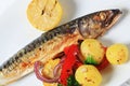 Grilled mackerel and potatoes Royalty Free Stock Photo