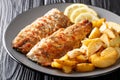 Grilled mackerel served with potato wedges and lemon closeup on a plate. horizontal Royalty Free Stock Photo