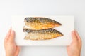 Grilled mackerel on white background