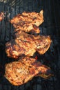 Grilled marinated chicken breast 2