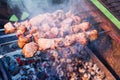 Grilled marinated meat on skewers. Russian shashlik. Traditional dishes. Outdoor barbecue on the backyard