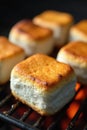 Grilled marshmallows, close up view Charred edges, caramelized sugar , high resolution, brown, charred Royalty Free Stock Photo