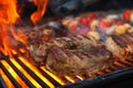 Grilled meat Royalty Free Stock Photo
