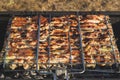 Grilled meat. barbeque on metal grille. picnic with bbq Royalty Free Stock Photo