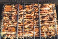 Grilled meat. barbeque on metal grille. picnic with bbq Royalty Free Stock Photo