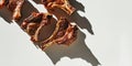 Grilled meat shadows create an intriguing abstract composition on a white wall in a minimalist setting Royalty Free Stock Photo
