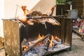 grilled meat cooked by expert cooks on natural fire. Italy Royalty Free Stock Photo