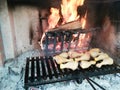 Grilled meat cooked on fireplace Royalty Free Stock Photo
