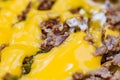 Grilled meat filled with melted cheese close-up, selective focus