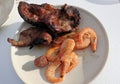 Grilled meat on the fire and shrimps on the plate Royalty Free Stock Photo