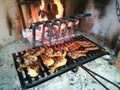 Grilled meat on fireplace Royalty Free Stock Photo