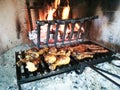 Grilled meat on fireplace Royalty Free Stock Photo