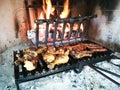 Grilled meat on fireplace Royalty Free Stock Photo