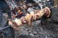 Grilled meat and lard on a skewer at the stake. Wildlife Cooking. Smoky flavor that grilling gives to food. Traditional pork Lard