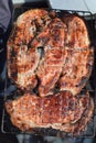 Grilled meat on the metal grill with a crispy crust