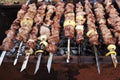 Grilled meat on metal skewers cooking on a coal Royalty Free Stock Photo