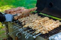Grilled meat roasted skewers barbecue. Barbeque churrasco meat background.