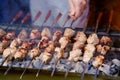 Grilled meat on skewer for barbecue. Pork, beef or lamb, grilled on fire. Traditional russian bbq food.