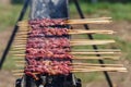 Grilled meat skewers Arrosticini in Abruzzo Italy Royalty Free Stock Photo