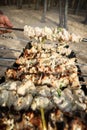 Grilled meat skewers. Barbecue fried on grill. Cooking meat on the coals. Outdoor recreation Royalty Free Stock Photo