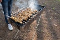 Grilled meat skewers on a portable barbecue outdoors in Beit Shamen forest, Israel, symbolizing Independence Day celebrations Royalty Free Stock Photo