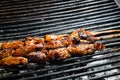 Grilled meat on a stick cooked fresh