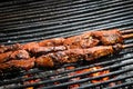 Grilled meat on a stick cooked fresh Royalty Free Stock Photo